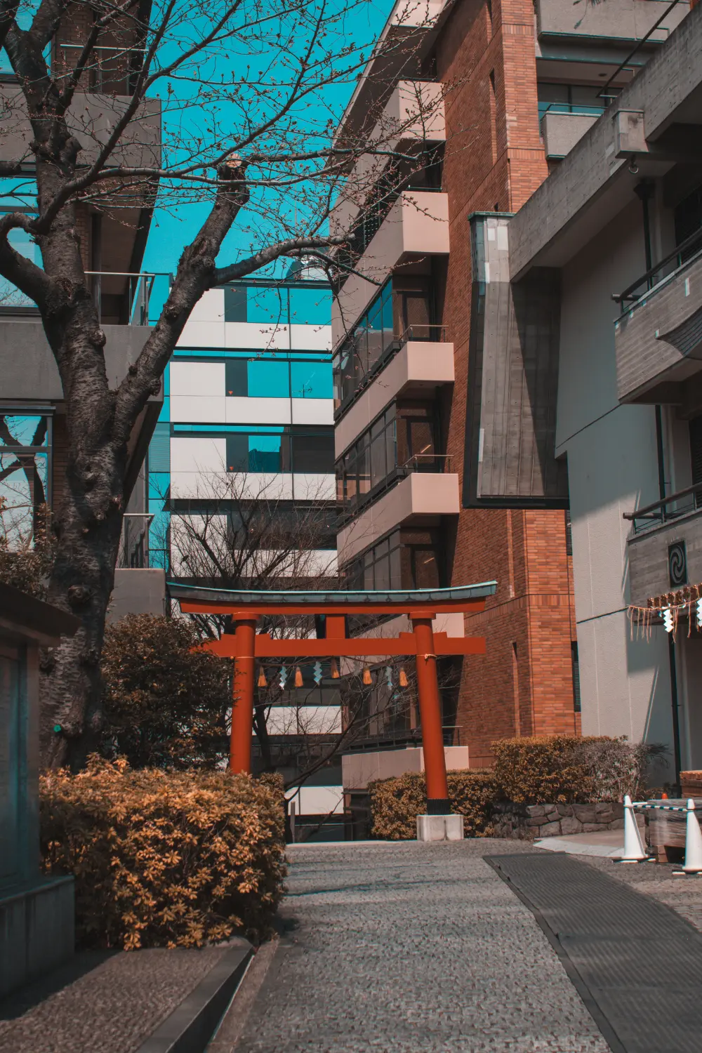 Architecture 3