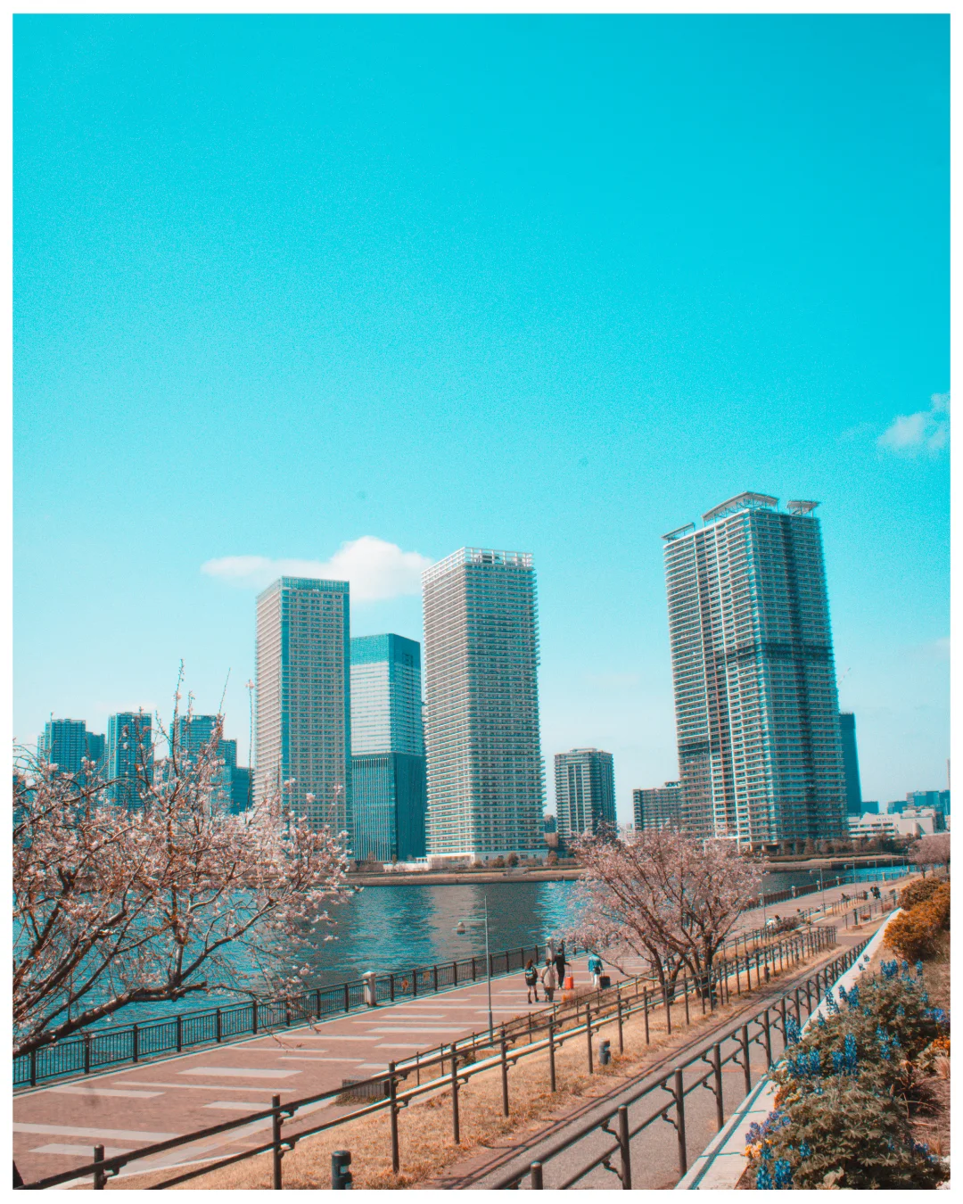 Toyosu moderne